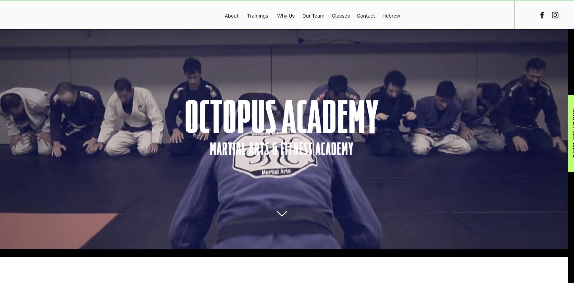 Фитнесс-сайт Octopus Academy